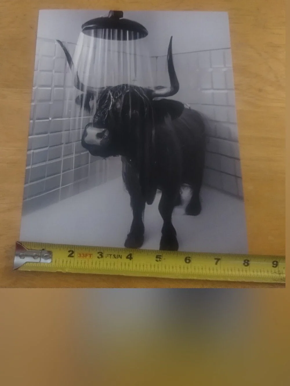 Highland Cow Shower Wall Art Print Black White Farmhouse Bathroom Decor 8x10